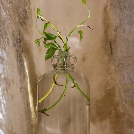 Intimate Hideaway - A Cellar Carved In Rock - Super Location! Lägenhet Cospicua